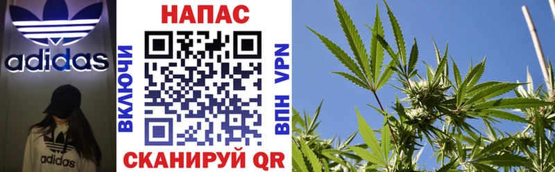 Где купить наркоту Берёзовка Псилоцибиновые грибы Героин МАРИХУАНА МЕФ